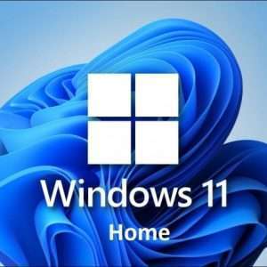 Windows 11